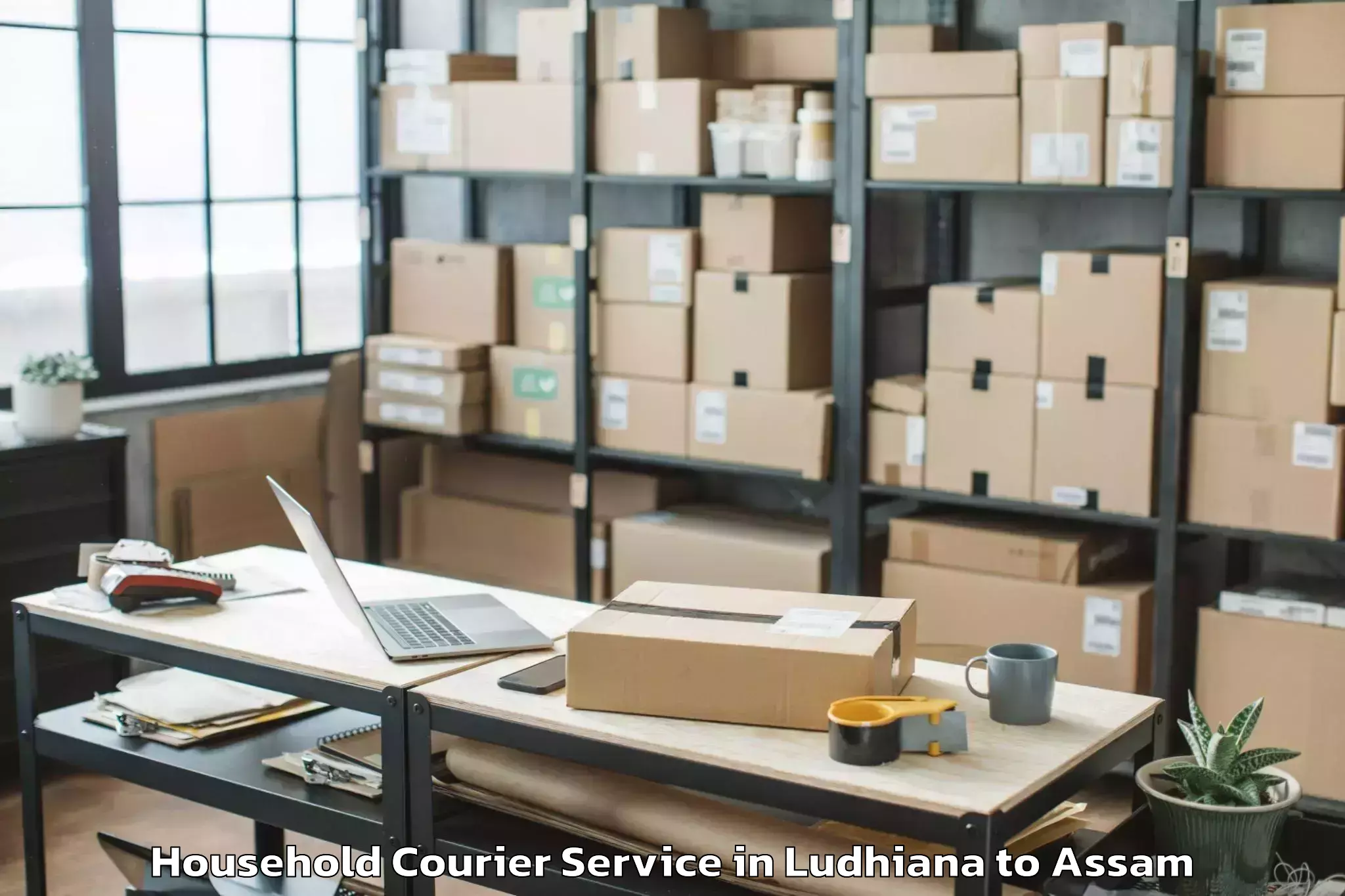 Trusted Ludhiana to Khoirabari Household Courier